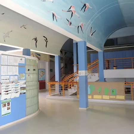 Xanascat Hostel